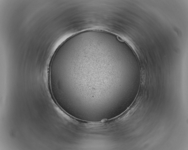 X0000112981151200909101709