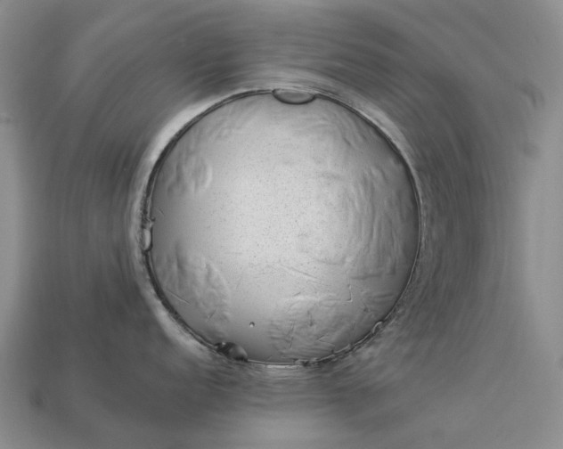 X0000112981152200909101709