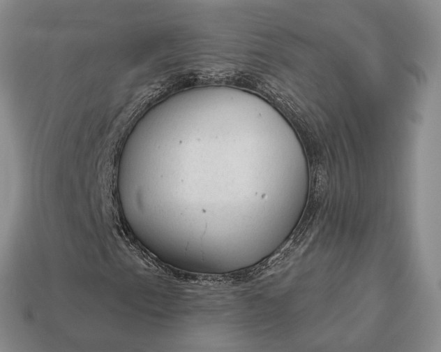 X0000112981153200909101708