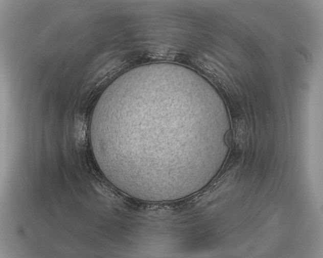 X0000112981154200909101708