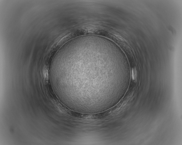 X0000112981155200909101708