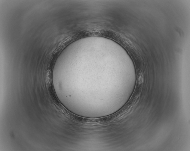 X0000112981156200909101708