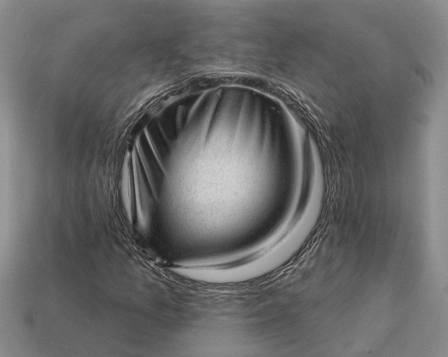 X0000112981157200909101708