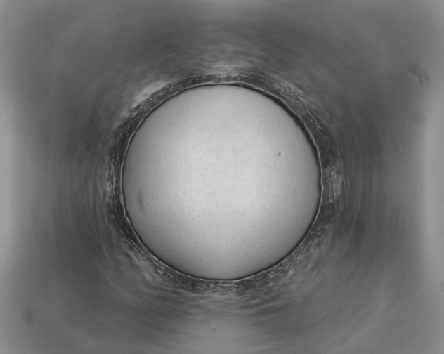 X0000112981158200909101708