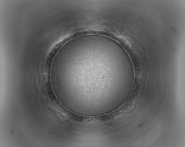 X0000112981159200909101708