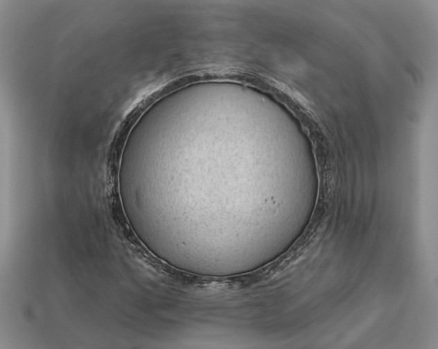 X0000112981160200909101708