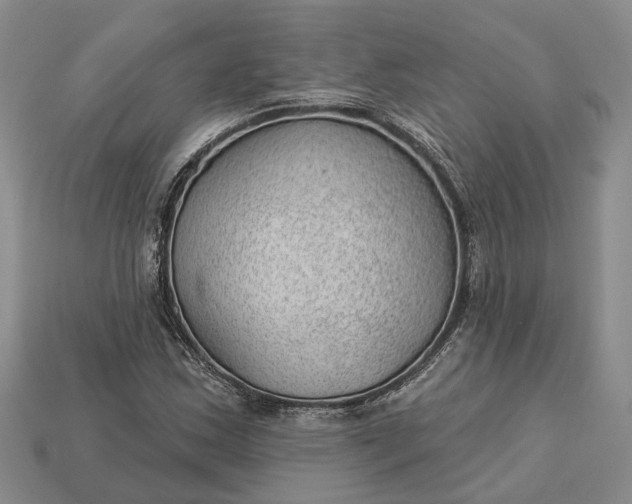 X0000112981163200909101708