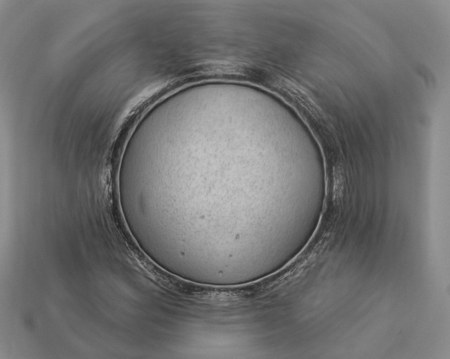 X0000112981164200909101708