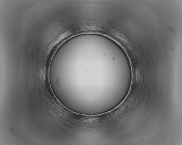 X0000112981165200909101708