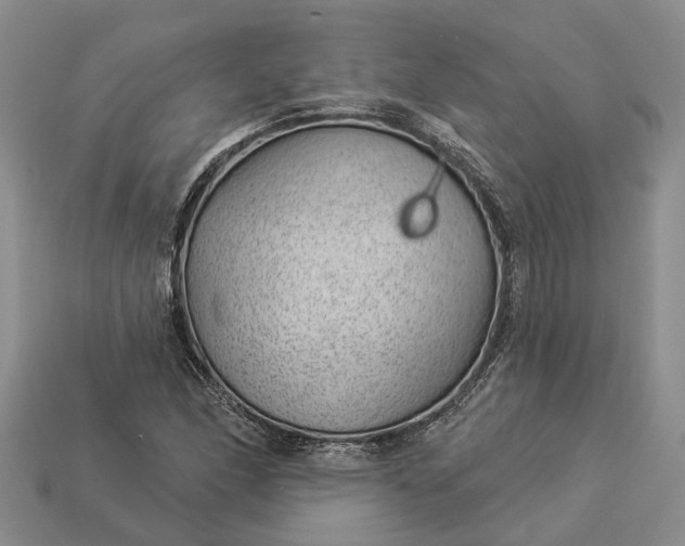 X0000112981166200909101708