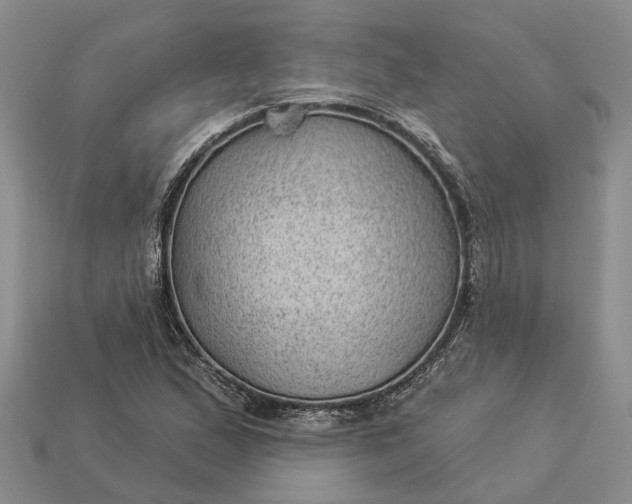 X0000112981167200909101708