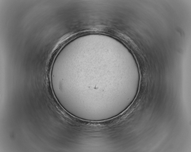 X0000112981168200909101708