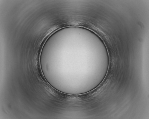 X0000112981170200909101708