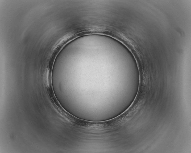 X0000112981171200909101708