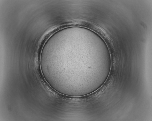 X0000112981172200909101708