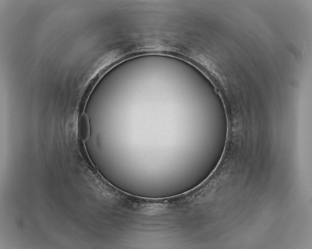 X0000112981173200909101708