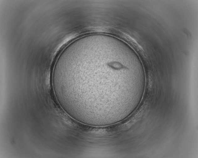 X0000112981174200909101708