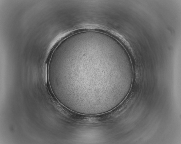 X0000112981175200909101708