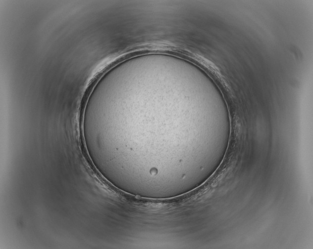 X0000112981176200909101708