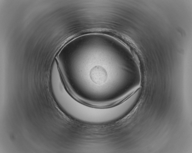 X0000112981177200909101708