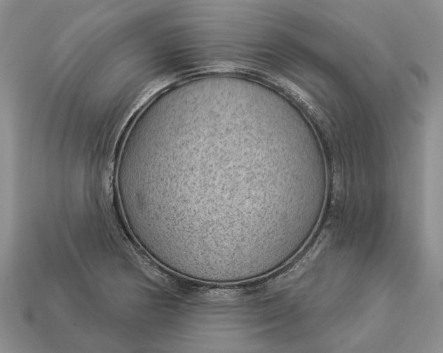 X0000112981178200909101708