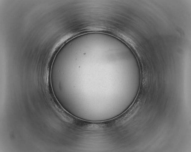 X0000112981179200909101708