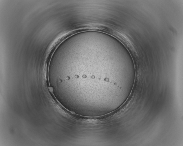 X0000112981180200909101708