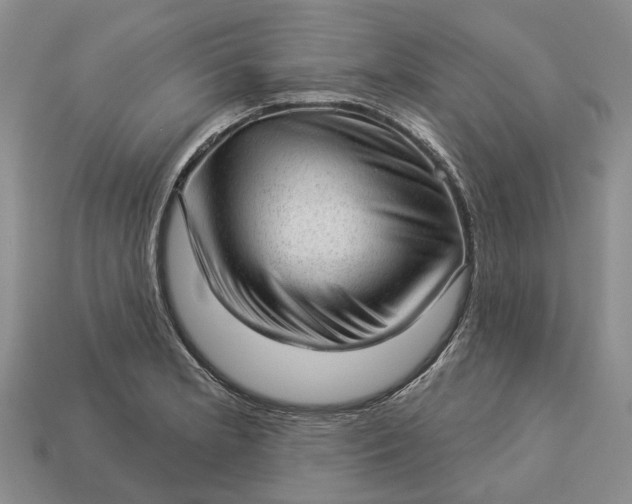 X0000112981181200909101708