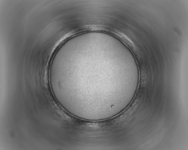 X0000112981182200909101708