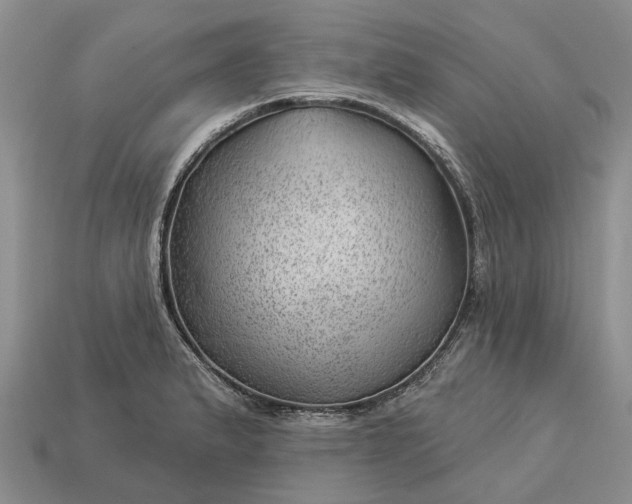 X0000112981183200909101708