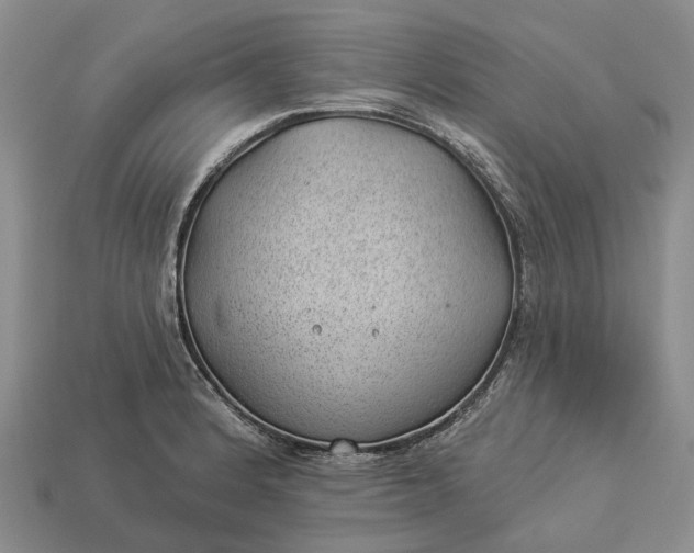 X0000112981184200909101708