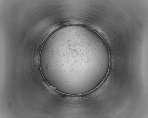 X0000112981185200909101708