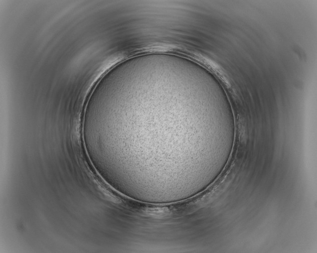 X0000112981186200909101708