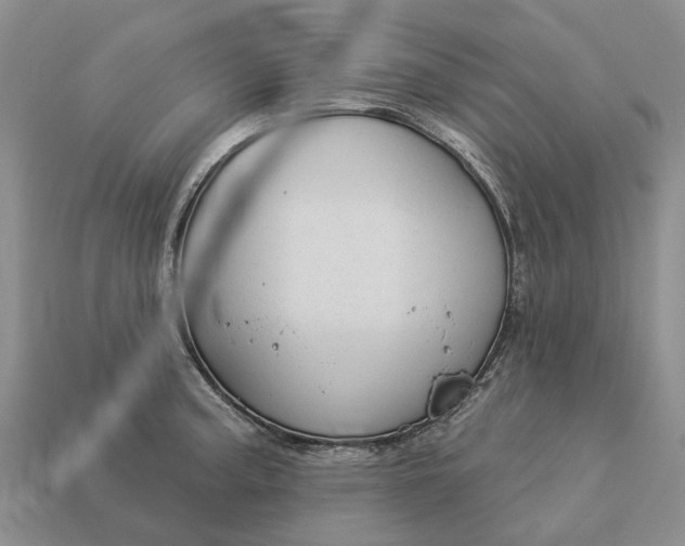 X0000112981187200909101708