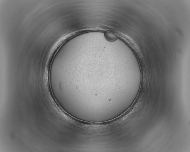 X0000112981188200909101708