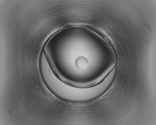 X0000112981189200909101708