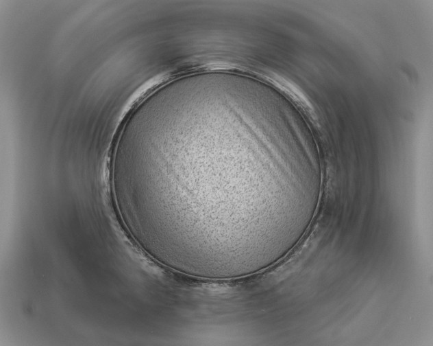 X0000112981190200909101708