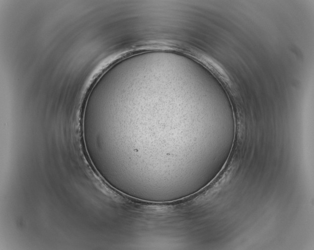 X0000112981192200909101708