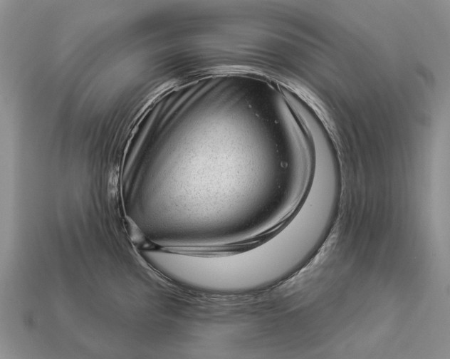 X0000112981193200909101708