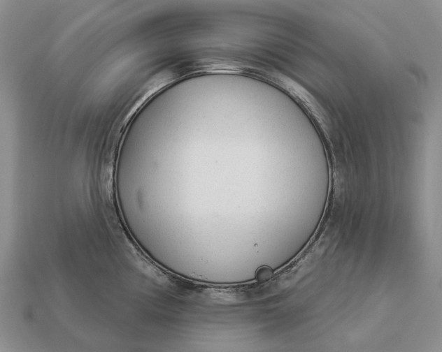 X0000112981194200909101708