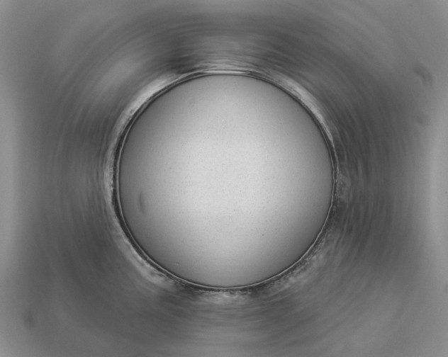 X0000112981195200909101708