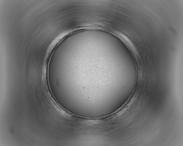 X0000112981196200909101708