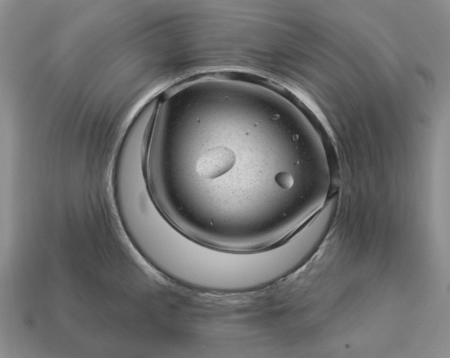 X0000112981197200909101708