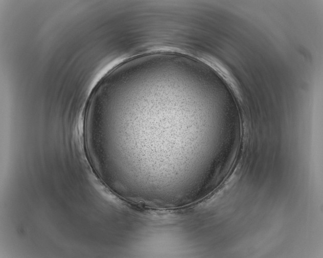 X0000112981198200909101708