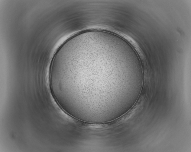 X0000112981199200909101708