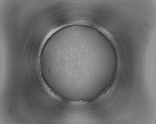 X0000112981200200909101708