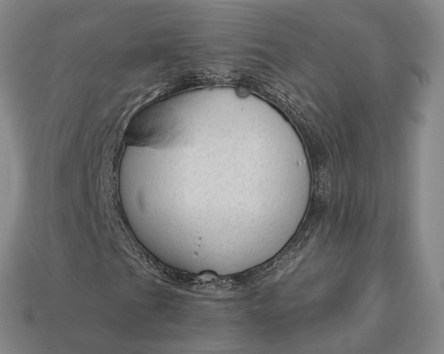 X0000112981201200909101707