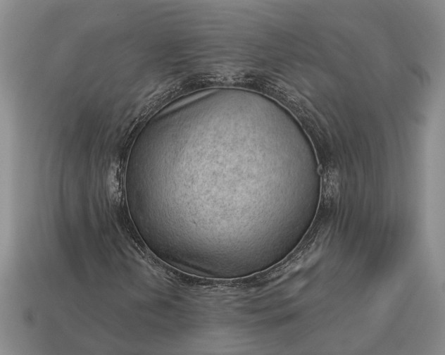 X0000112981202200909101707