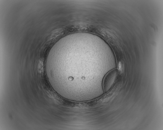 X0000112981203200909101707