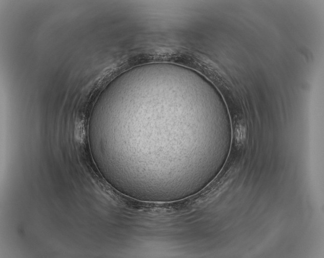 X0000112981204200909101707